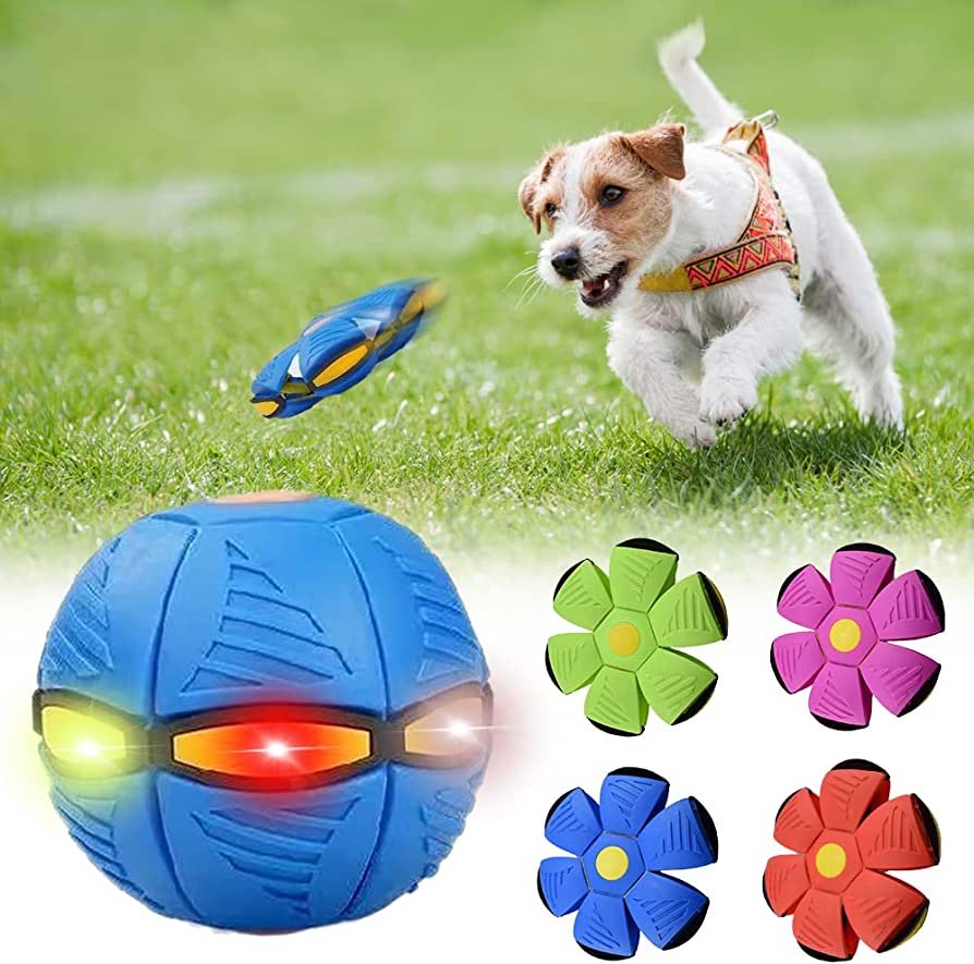 Winnie & Winstons™ Dog Frisbee