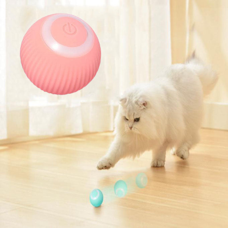 Winnie & Winstons™ Interactive Ball
