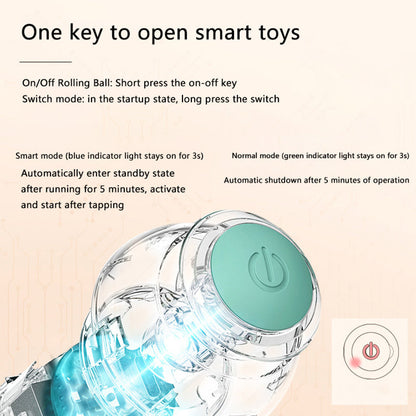 Winnie & Winstons™ Interactive Ball
