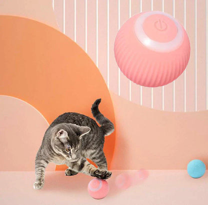 Winnie & Winstons™ Interactive Ball