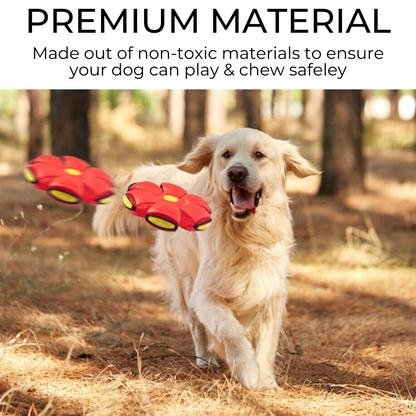 Winnie & Winstons™ Dog Frisbee